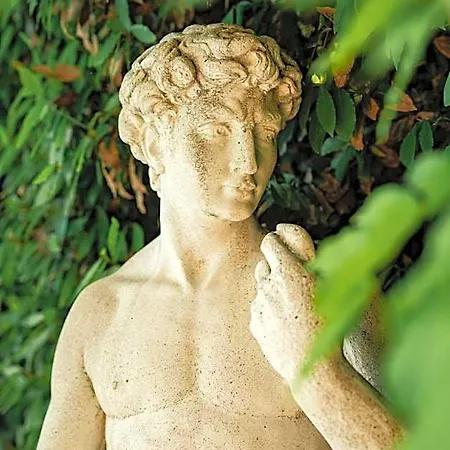 فندق Belvedere
