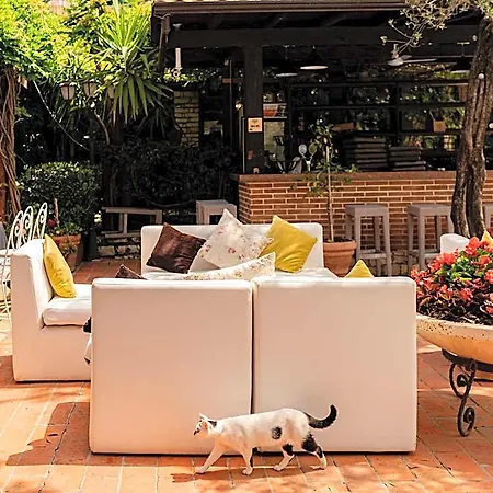 Belvedere فندق 3*