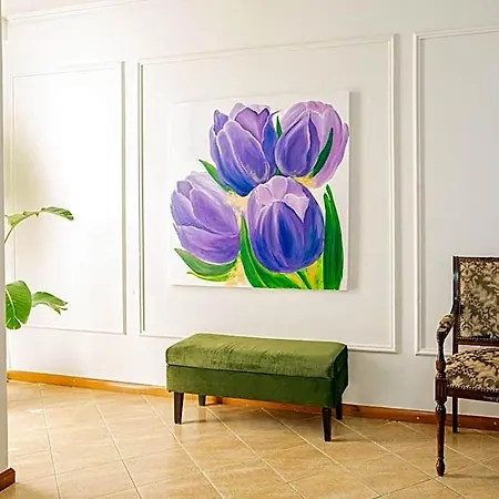 Belvedere فندق