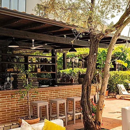 Belvedere دراس