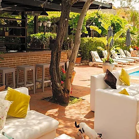 Belvedere 3* دراس