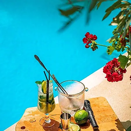 Belvedere فندق دراس